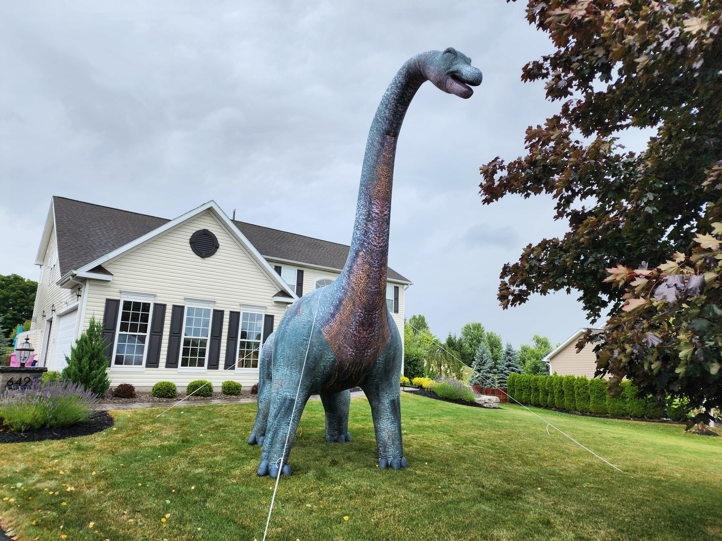 Giant Inflatable Dinosaur Prop