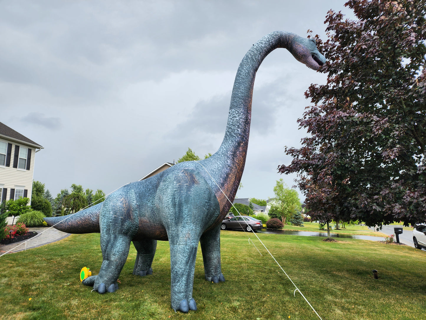 Giant Inflatable Dinosaur Prop